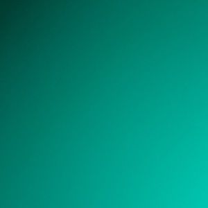 Meet your Posher, Lil